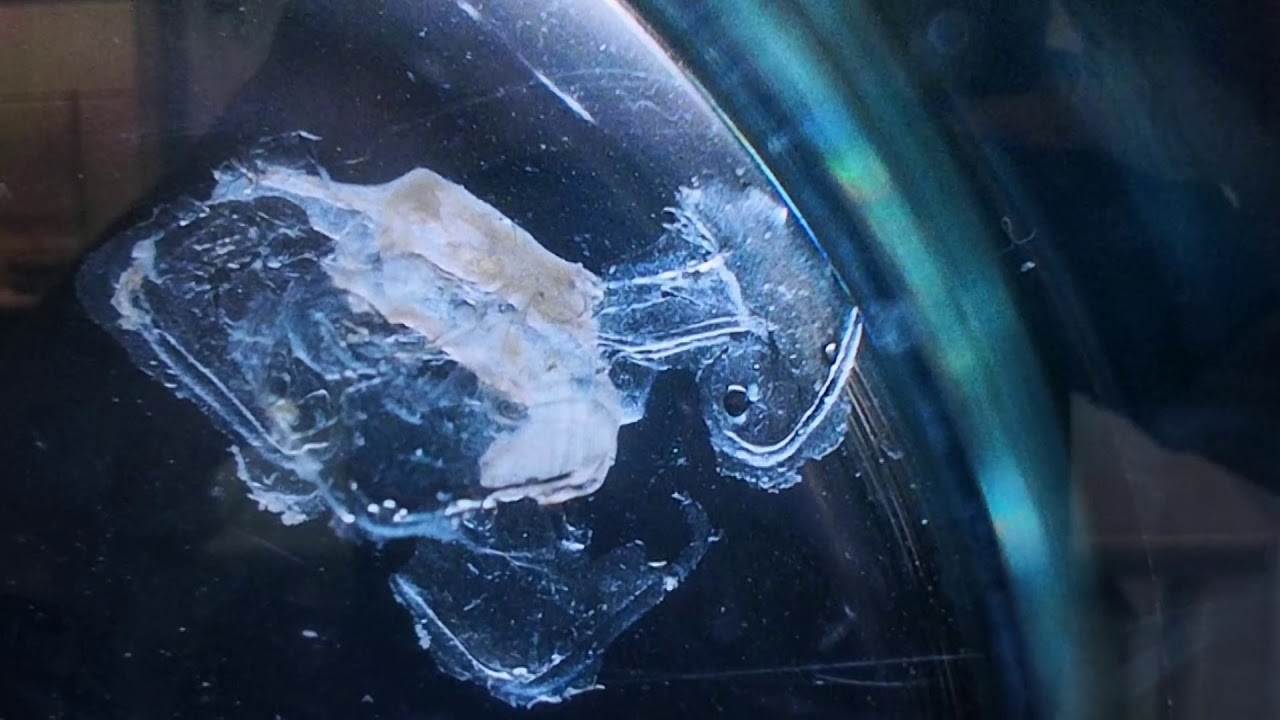 Bricolage - Video Documentation