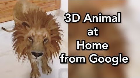 How to view Google 3D animals in mobile at home| Google AR|See all the animals at your home