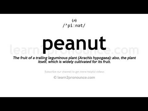 Video: Maanalaisia maapähkinöitä