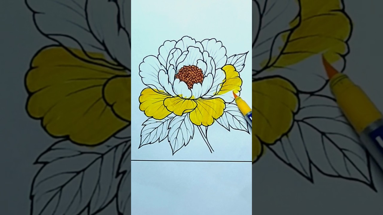 How to Color new Peony Flower | Cuddly Colors TV Presents 🌼🖍️" kids learnings videos,