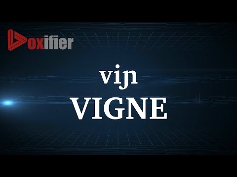 Come Pronunce Vigne in francese - Voxifier.com