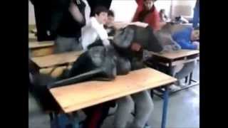 Liseli Ergenler Top 10