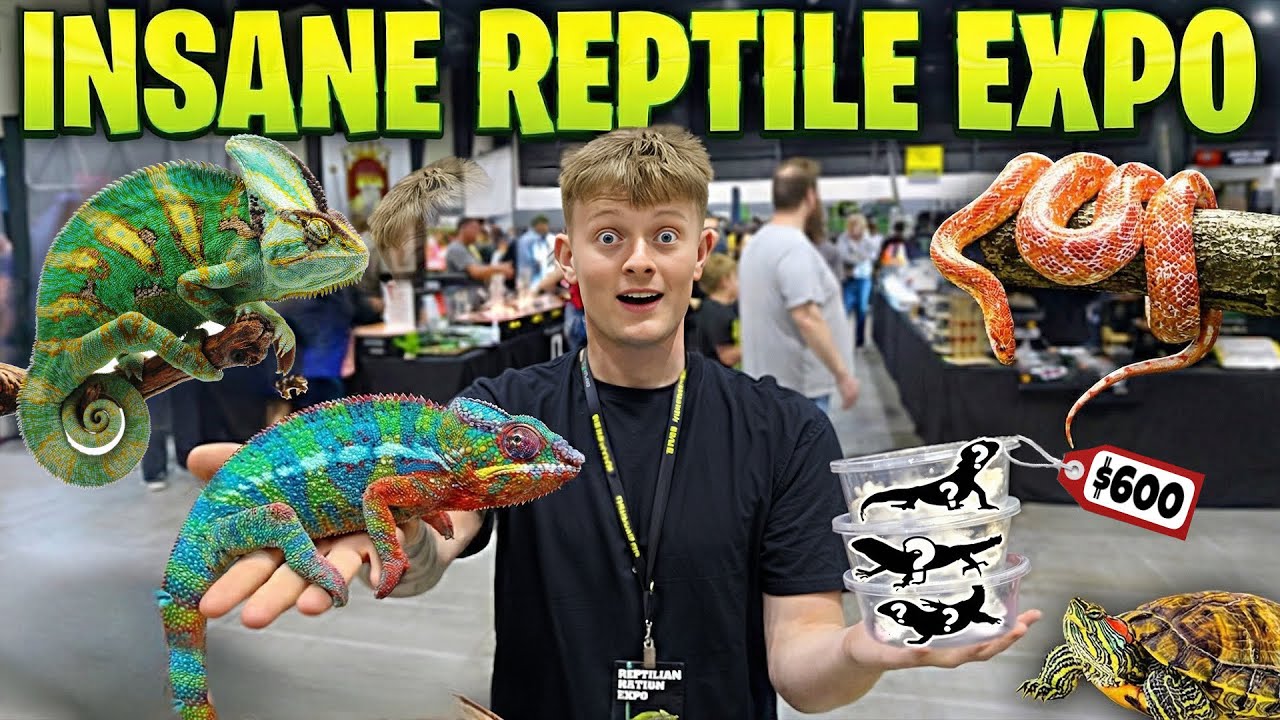 I SPENT OVER $500 AT THIS REPTILE EXPO! *INSANE*