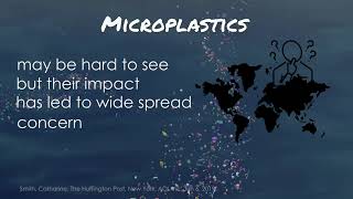 Microplastics Impact- Microplastics Part 2
