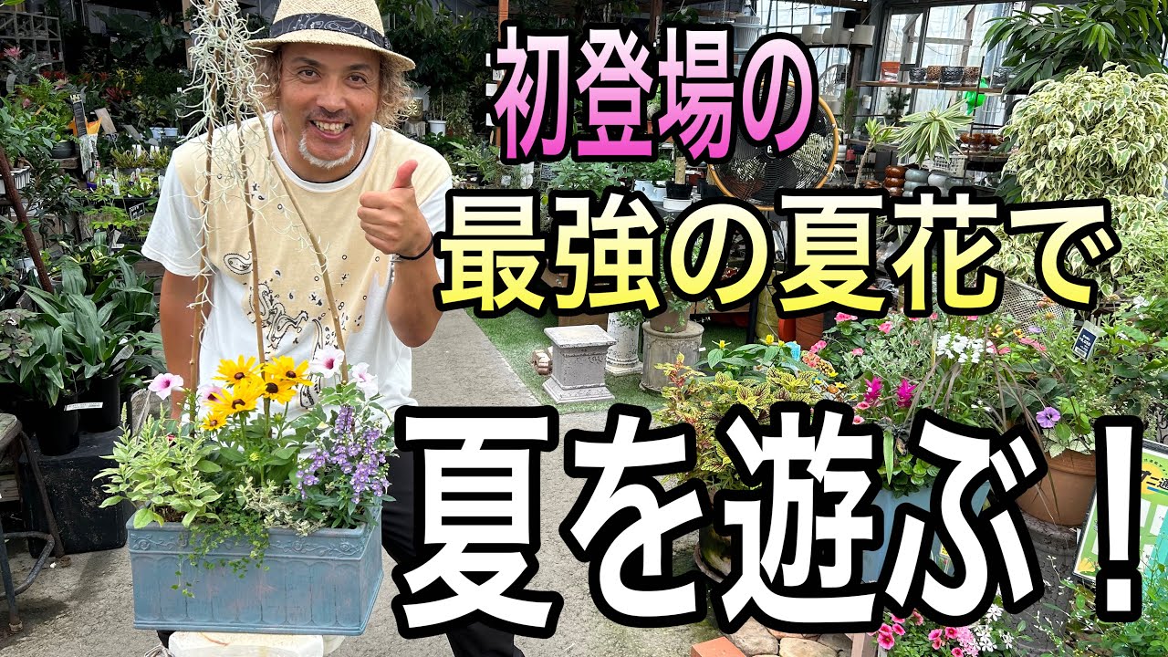【寄せ植え】夏をもっと遊ぼう！まだまだ紹介してない最強夏花が登場☆