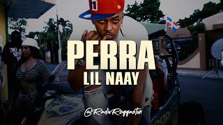 LIL NAAY - PERRA (LETRA) — trending on YouTube in Ecuador