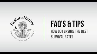 How do I ensure the best survival rate? | FAQ's & Tips | Restore Native