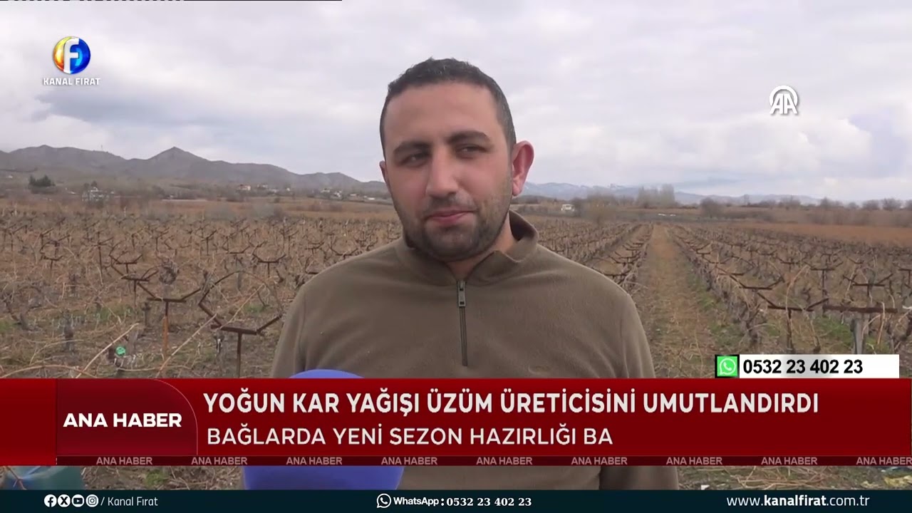 Ana Haber Yoğun Kar Yağışı Üzüm Üreticisini Umutlandırdı 24 02 2026