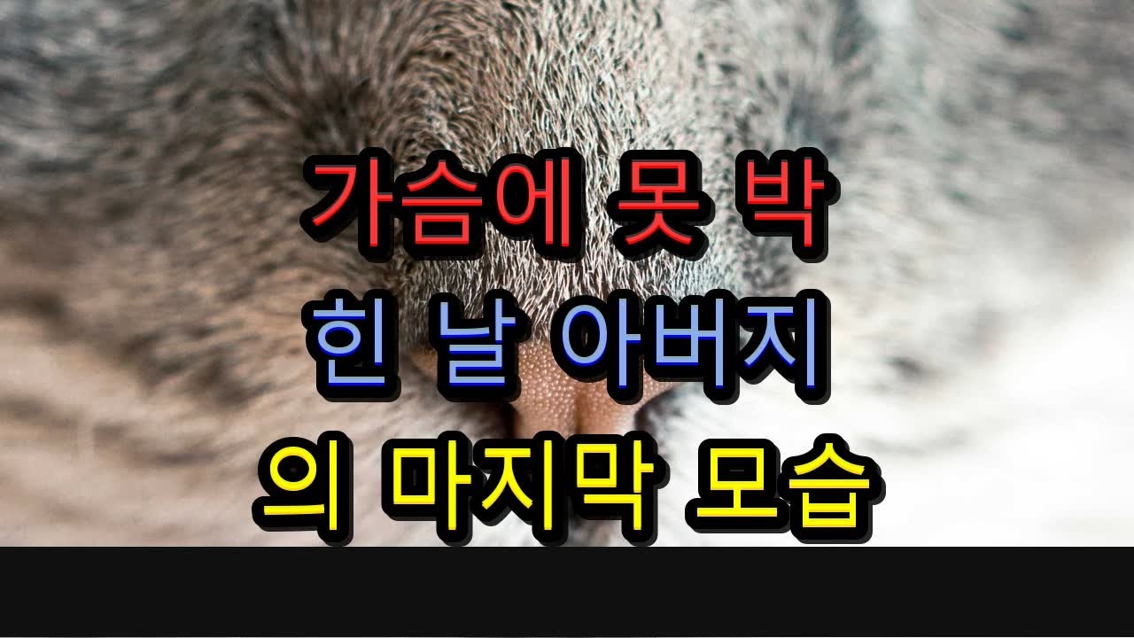 가슴에 못 박힌 날, 아버지의 마지막 모습