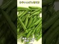 さやいんげん切り方 #隠元 #いんげん #ばん飯