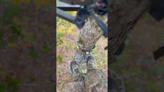 Not the monster buck I imagined  #deer #hunting #shorts #shortsvideo #short screenshot 1