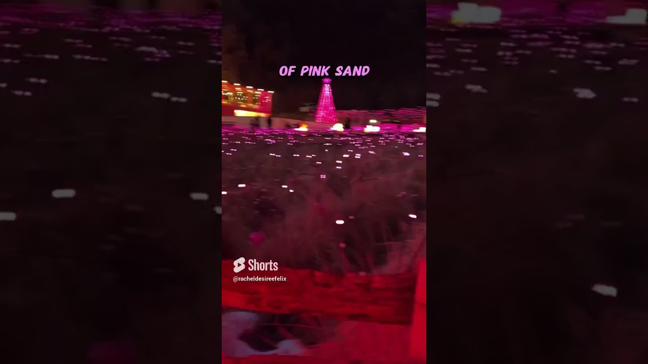 ✨💕 EVERYTHING is PINK at this Korean Festival! 