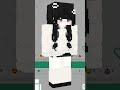 minecraft skin into anime character
