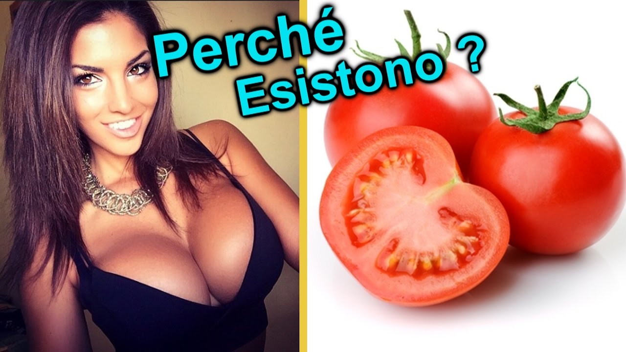 10 Cose Semplici che la Scienza non sa Spiegare - YouTube