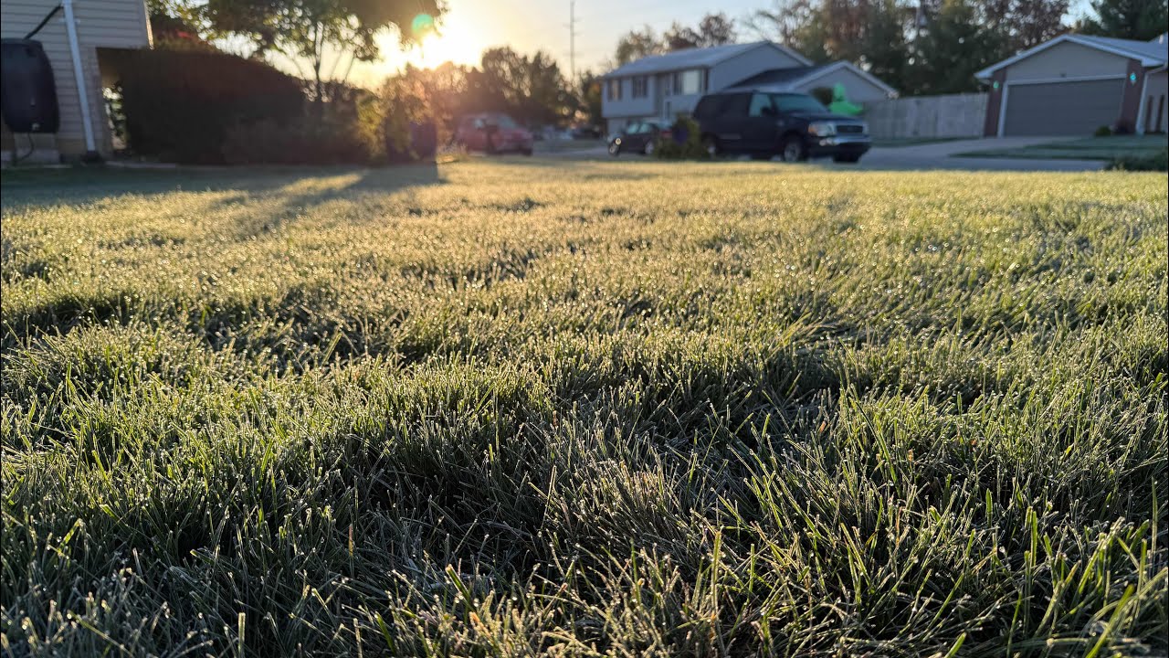 A frosty morning in the yard - YouTube