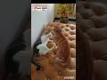 Aku Harus Menang🏆💪 #cat #prettycat #prettycat #shortvideo #imut #kitten #prettyfunny #kucing
