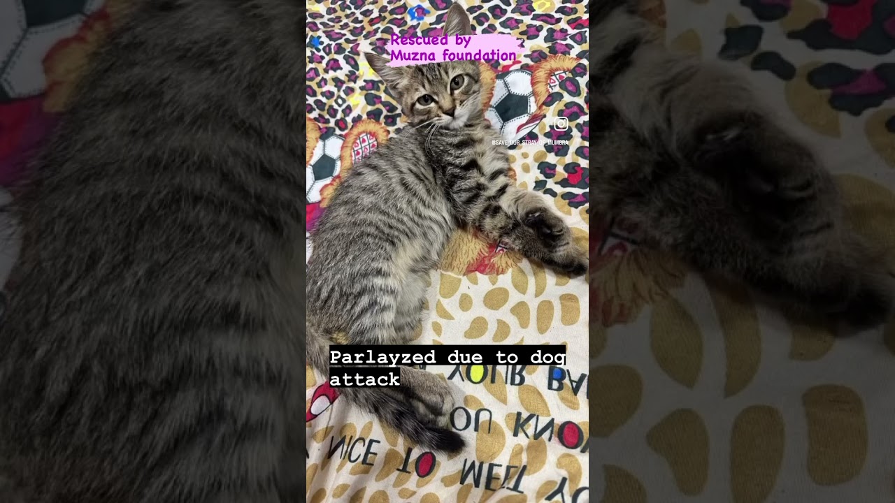 Support our community 