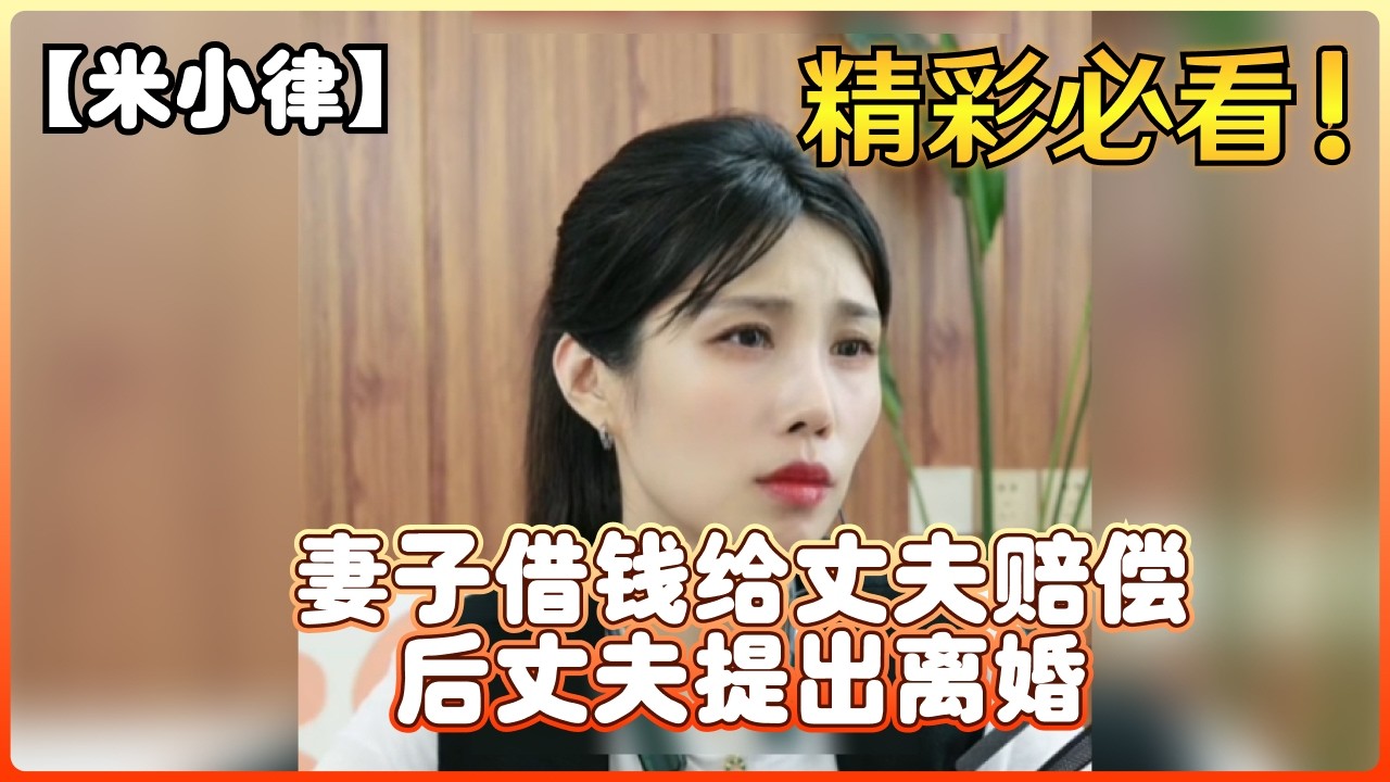 【米小律】妻子借钱给丈夫赔偿，后丈夫提出离婚