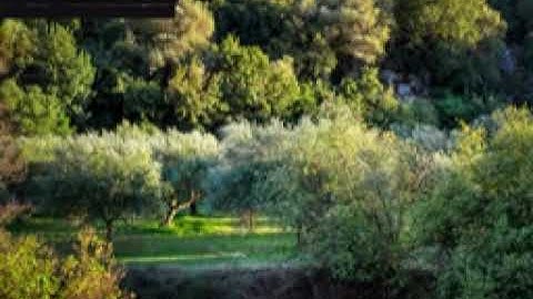 Theatremetaphysics Mate gbpdbsuxag