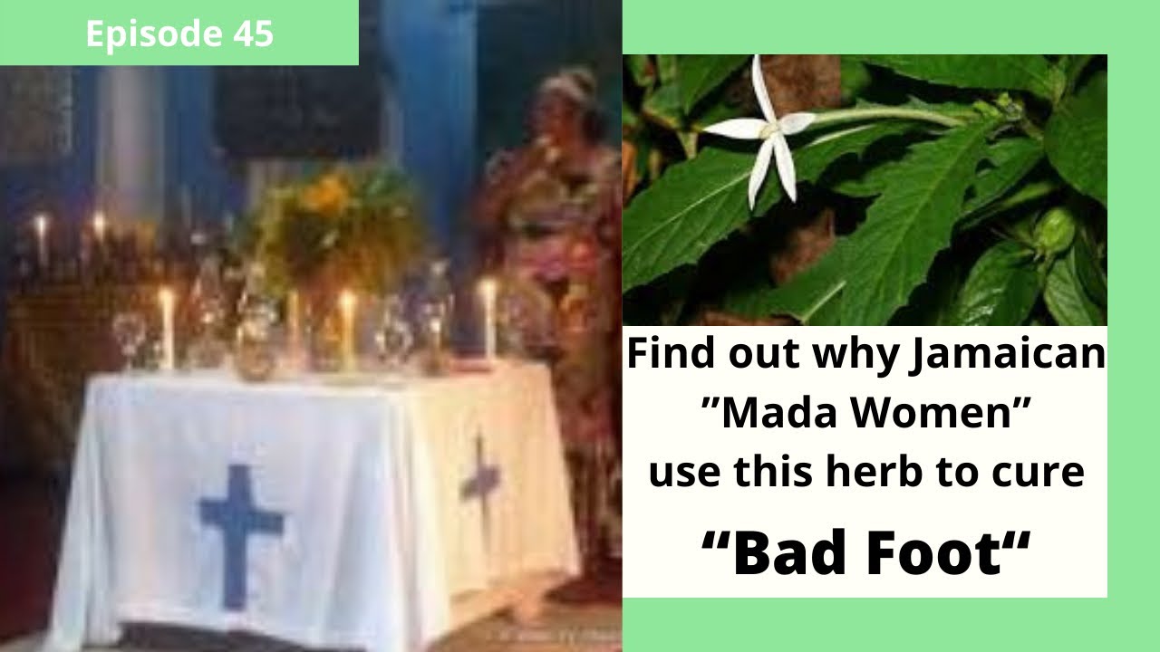 HERBALLY SPEAKING S4E7 (Madam Faith) YouTube