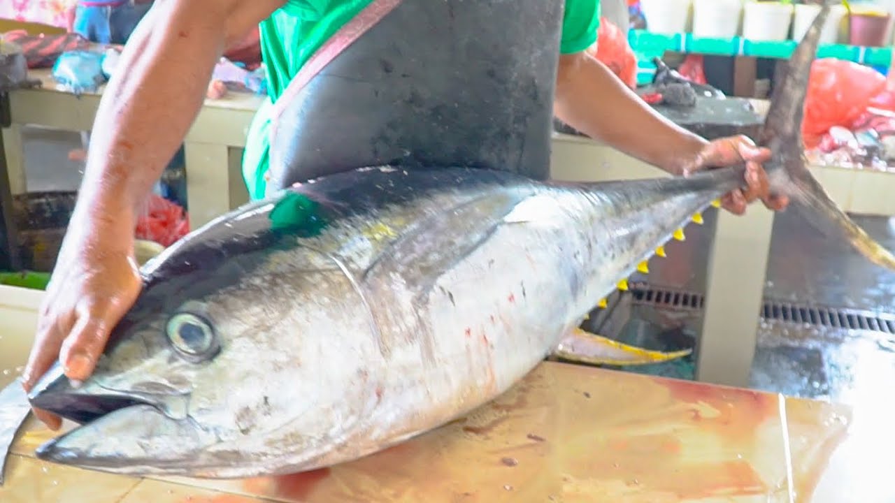 GIANT TUNA FISH CUTTING VIDEOS IN ACEHNESE FISH MARKET FISH CUTTING