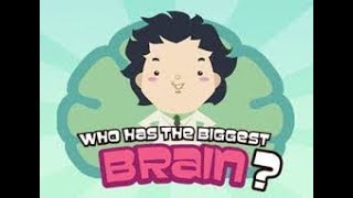 Bei Brain Buddies kann man spielend sein Gehirn trainieren. screenshot 3