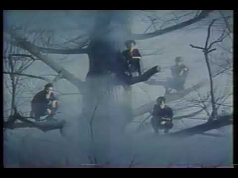 【なつかCM】マクセル カセットテープ CM / MODS 激しい雨が　1983