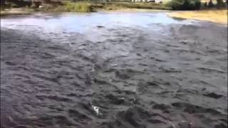 River Hovercraft Cruising