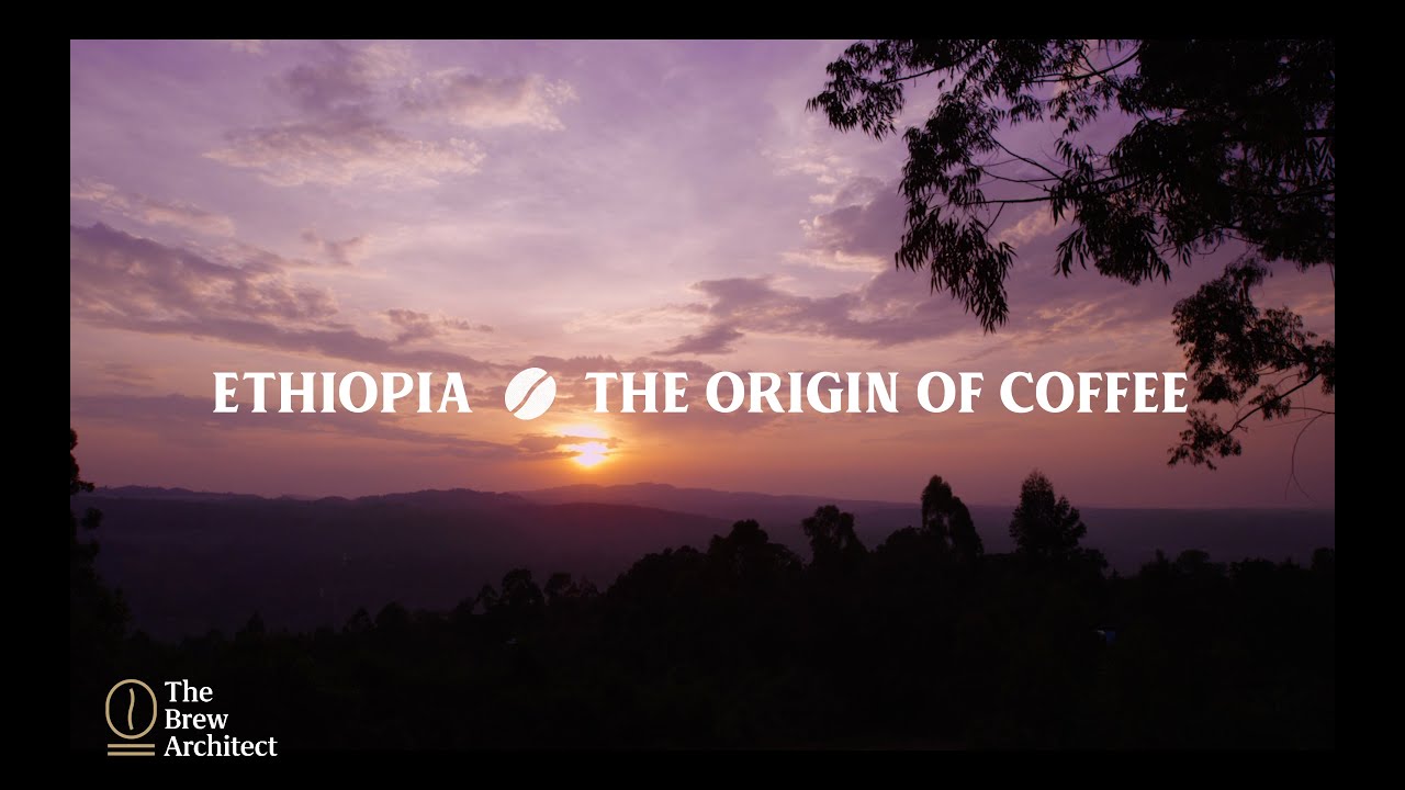The Origin of Coffee | Ethiopia | A Coffee Travel Video - YouTube