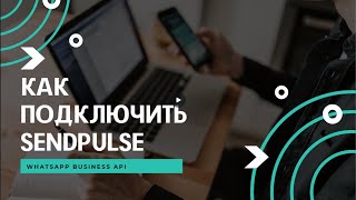 Подключение Whats app Business API через SendPulse