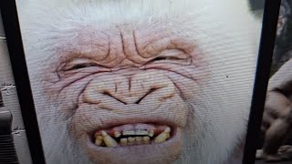 WHERE IS THAT CROSS BREED ALBINO PIG HEAD GORILLA👀👀(NO ONE UNDER THE AGE OF 18YRS ALLOWED)