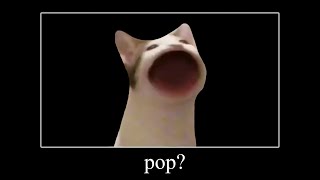 cat?