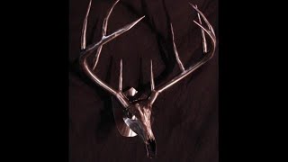 European Mount Deer Head Skull Metal Sculpture, Deer Hunting, Metal Art Project