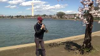 Special trumpet tribute before the removal of DC's beloved cherry tree 'Stumpy'