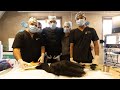 How these Vets take care of the Worlds Rarest Birds