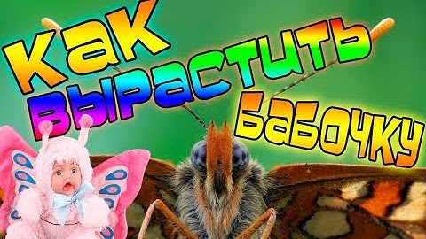 ЛУЧШИЕ ИГРЫ ДЛЯ ДЕВОЧЕК НА ANDROID Flutter: Starlight