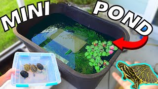 *DIY* MINI 75gal TURTLE PATIO POND!  (and BABY TURTLES!)