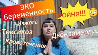 видео: Моя ЭКО-беременность. Тройня. картинка: Моя ЭКО-беременность. Тройня.