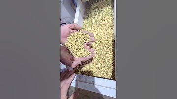 Facet Engineering | Custom Turnkey Solutions | Complete Processing & Conveying Systems