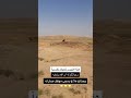 تيس تعبان نفسيا