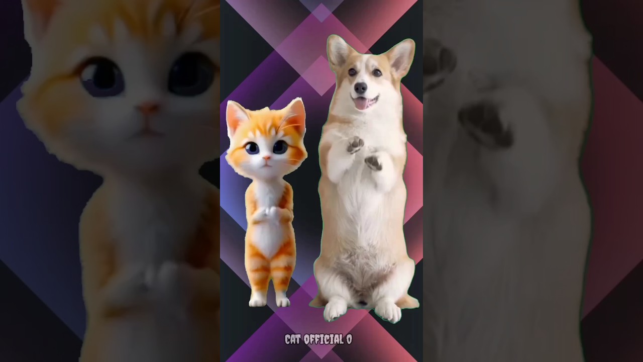 cute dog and cat dance🥰