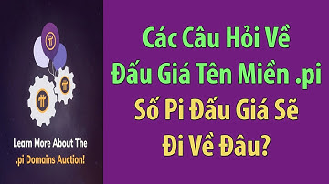 Pi Network: Các Câu Hỏi Đấu Giá Tên Miền .pi - Số Pi Đấu Giá Đi Về Đâu!?