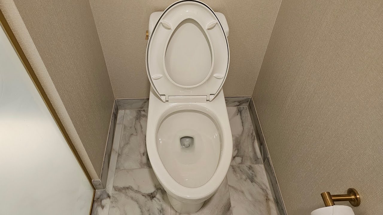 TR #74: How the New Kohler Reach One Piece Toilet turned out to be