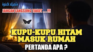 Kupu-Kupu Hitam Masuk Rumah, Pertanda Tamu Tak Terlihat?
