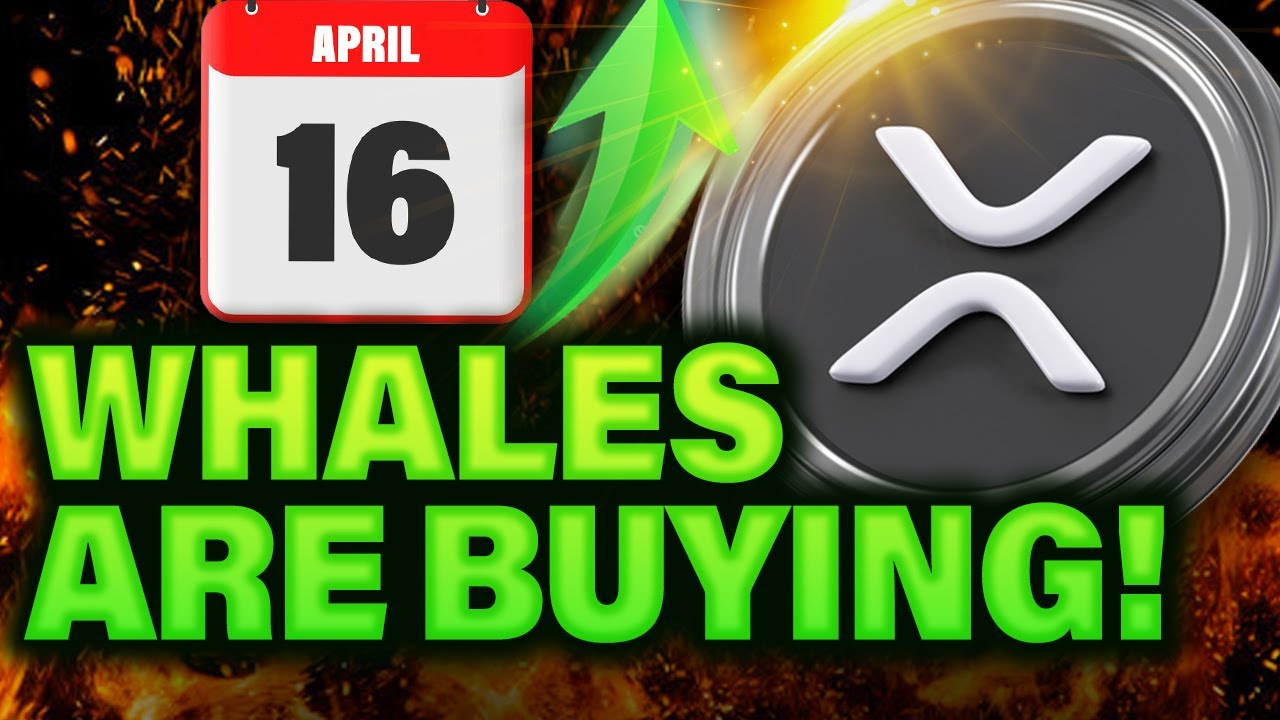 Newmarket Capital CEO proposes $2T Bit Bonds to buy Bitcoin - Altcoin Buzz