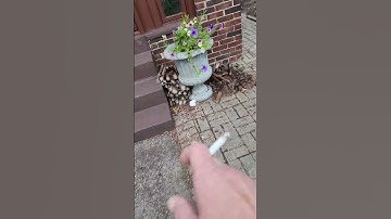 Basement waterproofing Grosse Pointe Park leaky basement block walls