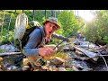 Trout Fishing a TINY Mountain River!!! (RATTLESNAKE ENCOUNTER)