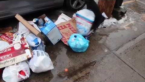 cloning - can (music video)