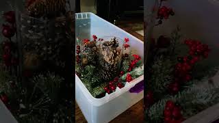 CLEANING MOTIVATION | organizing and gameplan to undecorate our Christmas decor