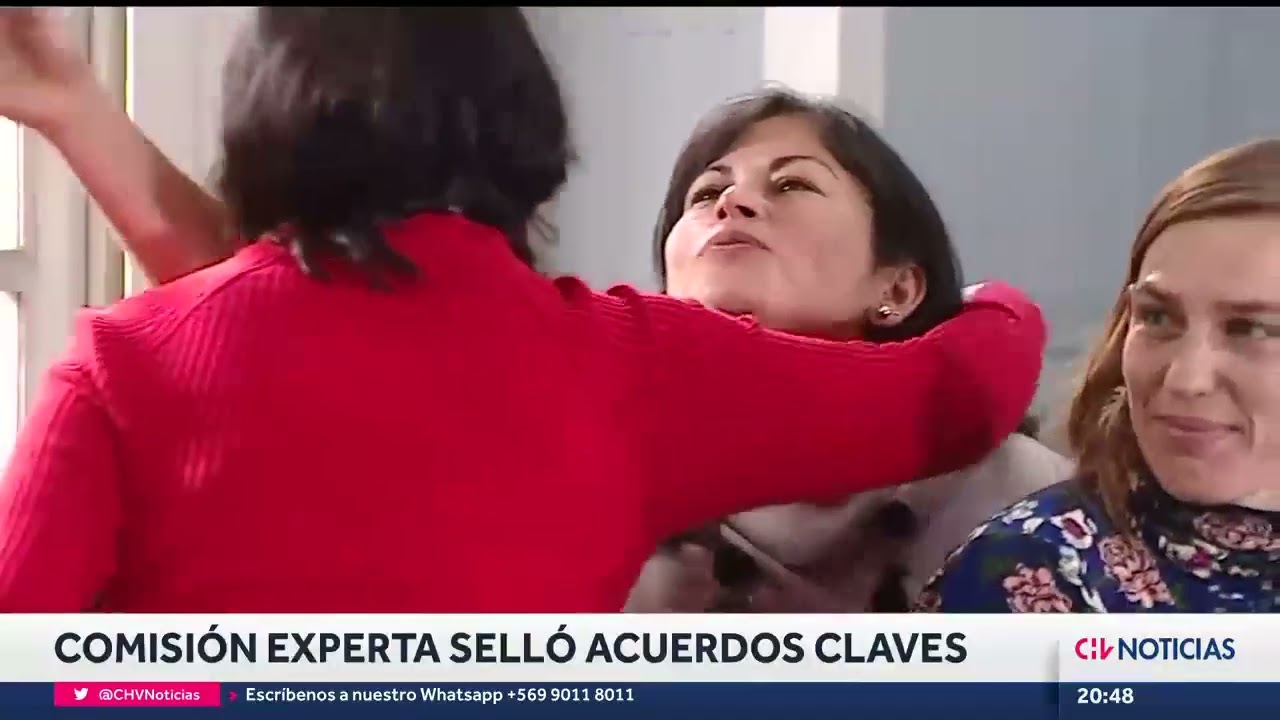 Comisión de Expertos selló acuerdos transversales para proyecto de nueva Constitución